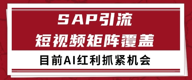 小红书某音sap赛道引流获客 自热矩阵日引200+【揭秘】 - 网赚副业资源网-网赚副业资源网