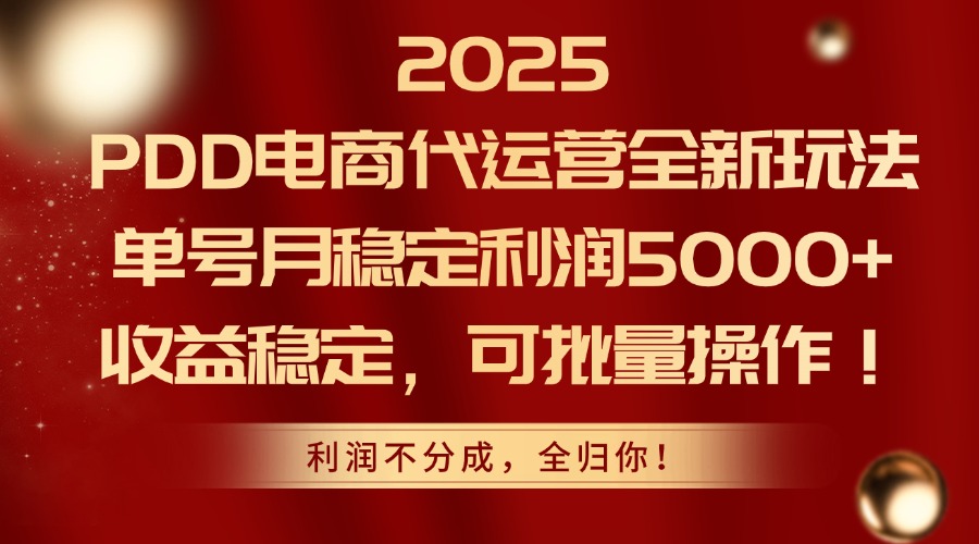 （14839期）2025PDD电商代运营全新玩法，单号月稳定利润5000+，收益稳定，可批量操作 - 网赚副业资源网-网赚副业资源网