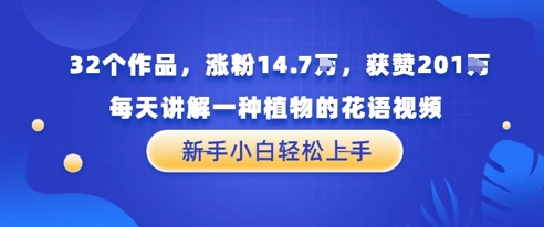 32个作品，涨粉14.7W，获赞201W，每天讲解一种植物的花语视频，无需任何技巧，新手小白轻松上手 - 网赚副业资源网-网赚副业资源网