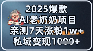 2025爆款 AI 老奶奶项目：亲测 7 天涨粉 1W+，私域变现 1k+ - 网赚副业资源网-网赚副业资源网