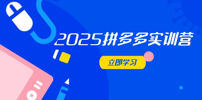 （14531期）2025拼多多实训营：深度剖析运营关键，助力电商人快速提升 - 网赚副业资源网-网赚副业资源网