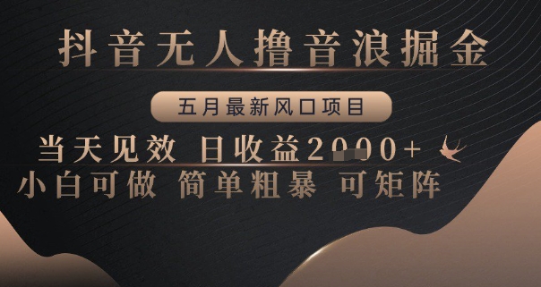 抖音无人撸音浪掘金，五月最新风口项目，当天见效，日收益多张，小白可做简单粗暴可矩阵【揭秘】 - 网赚副业资源网-网赚副业资源网