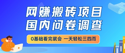 网创搬砖项目，国内问卷调查，小白轻松上手，一天三四张的也不难，干就完了【揭秘】 - 网赚副业资源网-网赚副业资源网