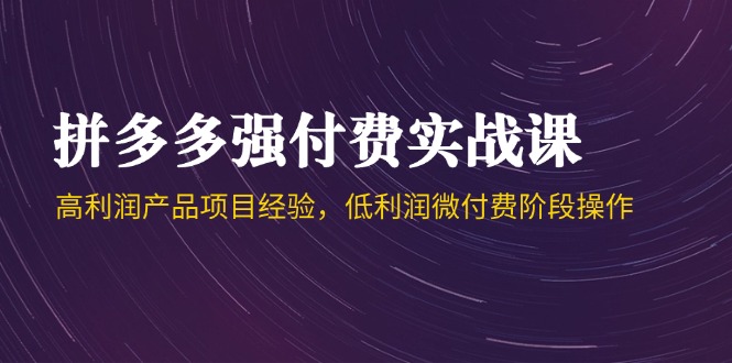 （14874期）拼多多强付费实战课-44期，高利润产品项目经验，低利润微付费阶段操作 - 网赚副业资源网-网赚副业资源网