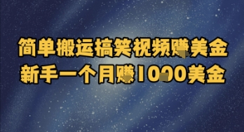 简单搬运搞笑视频挣美金，新手一个月入1k美金 - 网赚副业资源网-网赚副业资源网