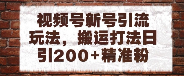 视频号新号引流玩法，搬运打法日引200+精准粉，可矩阵放大【揭秘】 - 网赚副业资源网-网赚副业资源网