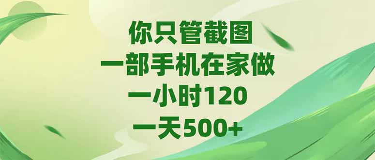 （15039期）你只管截图，一部手机在家做，一小时120，-天500+ - 网赚副业资源网-网赚副业资源网