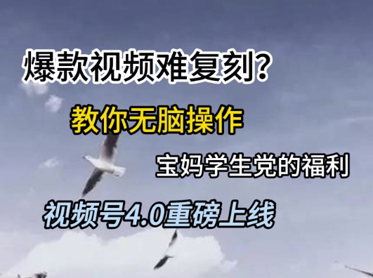 视频号4.0重磅上线，爆款视频难复刻？教你无脑操作宝妈学生党的福利【揭秘】 - 网赚副业资源网-网赚副业资源网