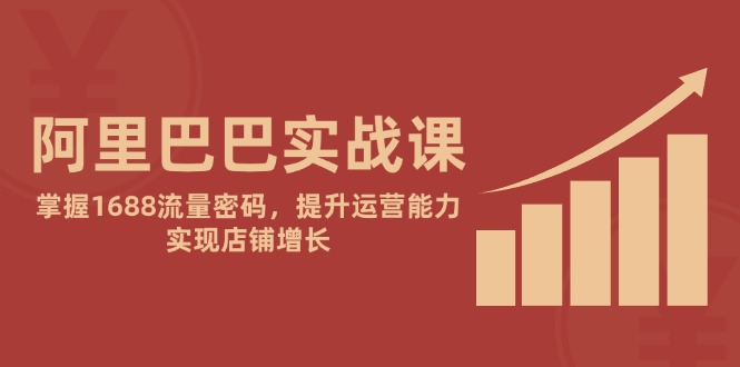 （14830期）阿里巴巴实战课：掌握1688流量密码，提升运营能力，实现店铺增长 - 网赚副业资源网-网赚副业资源网