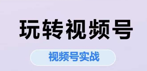 玩转视频号，视频号实战系列课 - 网赚副业资源网-网赚副业资源网