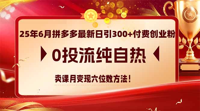 （14989期）25年6月拼多多最新日引300+付费创业粉，0投流纯自热 卖课月变现六位数方法 - 网赚副业资源网-网赚副业资源网