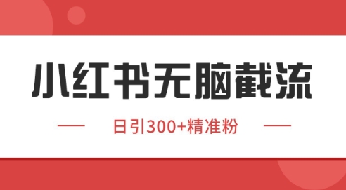 小红书截流同行客源，独家野路子获客玩法 日引200+暴力获客【揭秘】 - 网赚副业资源网-网赚副业资源网