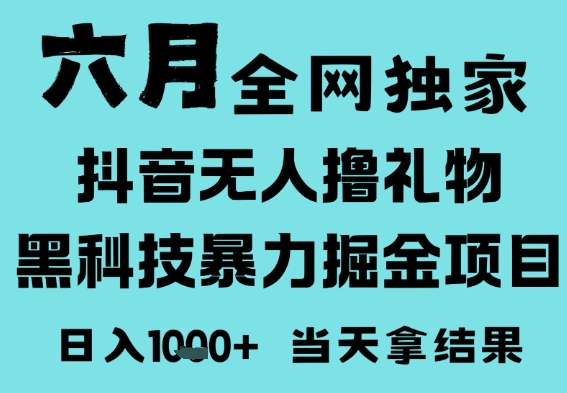 25年6月高爆抖音无人直播最新撸音浪掘金项目，门槛低小白可做，无脑日入1k，可矩阵放大【揭秘】 - 网赚副业资源网-网赚副业资源网