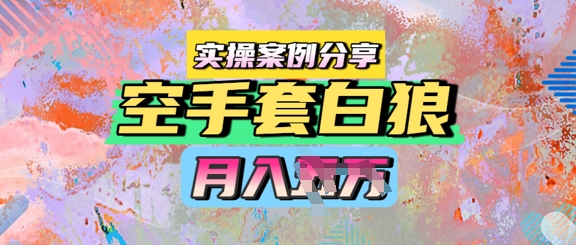 空手套白狼，月入过1W，实操案例分享 - 网赚副业资源网-网赚副业资源网