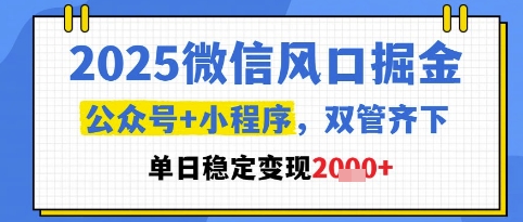 2025微信风口掘金，公众号+小程序双管齐下，单日稳定变现1k+【揭秘】 - 网赚副业资源网-网赚副业资源网