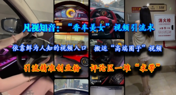 凡视知音：“香车美女”视频引流术，依靠鲜为人知的视频入口，搬运“高端圈子”视频，引流精准创业粉，评论区一堆“求带” - 网赚副业资源网-网赚副业资源网