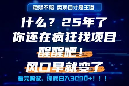 什么？25年你还在疯狂找项目做，醒醒吧，看完这些你全都懂了！【揭秘】 - 网赚副业资源网-网赚副业资源网