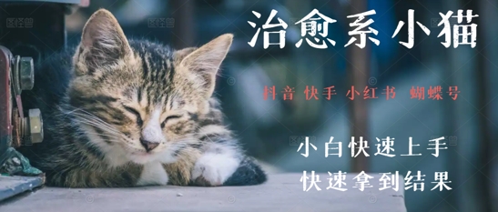 拆解，疯狂火爆！抖音，小红书，视频号小猫治愈的视频，轻松制作+快速拿到结果 - 网赚副业资源网-网赚副业资源网