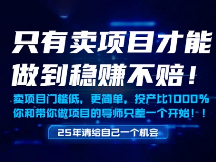 只有卖项目才能做到稳挣不赔，门槛低，更简单，你也可以年入百个W【揭秘】 - 网赚副业资源网-网赚副业资源网