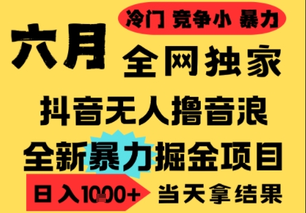 25年6月高爆抖音无人直播最新撸音浪掘金项目，小白可做，无脑日入1k+，门槛低可批量矩阵【揭秘】 - 网赚副业资源网-网赚副业资源网