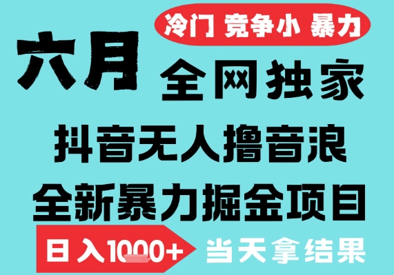 2025年6月高爆抖音无人直播最新撸音浪掘金项目，无脑日入1k+，低门槛小白可做，可矩阵放大【揭秘】 - 网赚副业资源网-网赚副业资源网