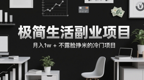 极简生活副业项目，月入1w+不露脸挣米的冷门项目 - 网赚副业资源网-网赚副业资源网