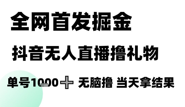 全网首发掘金抖音无人直播撸礼物，单号1k +无脑撸，当天拿结果【揭秘】 - 网赚副业资源网-网赚副业资源网