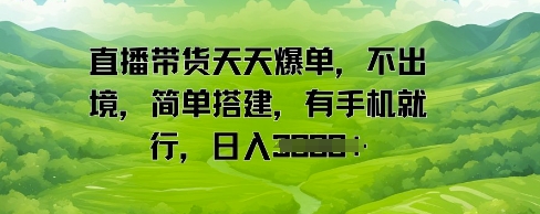 直播带货天天爆单，不出境，简单搭建，有手机就行，日入多张 - 网赚副业资源网-网赚副业资源网