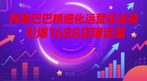 阿里巴巴精细化运营实战课，引爆1688店铺流量 - 网赚副业资源网-网赚副业资源网