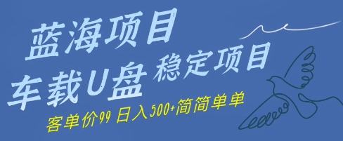 蓝海项目车载U盘稳定项目，挣的就是信息差，客单价99，日入几张简简单单 - 网赚副业资源网-网赚副业资源网