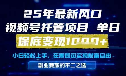 25年最新风口，视频号托管项目，单日保底变现1k+，手把手教学【揭秘】 - 网赚副业资源网-网赚副业资源网