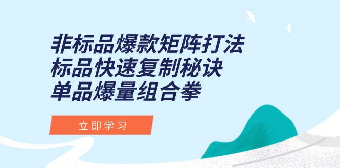 （15068期）非标品爆款矩阵打法，标品快速复制秘诀，单品爆量组合拳 - 网赚副业资源网-网赚副业资源网