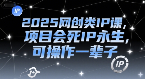 2025网创类IP课，项目会死IP永生，可操作一辈子 - 网赚副业资源网-网赚副业资源网